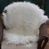 Montana Icelandic Sheep Pelt - Beryl - Image 2