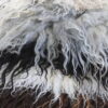 Montana Icelandic Sheep Pelt - Beryl - Image 3