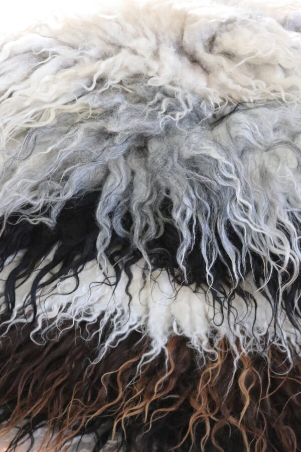 Montana Icelandic Sheep Pelt - Beryl - Image 3