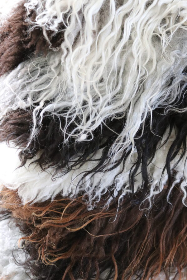 Montana Icelandic Sheep Pelt - Onyx - Image 3