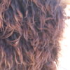 Montana Icelandic Sheep Pelt - Cherry Wood - Image 2